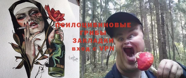 прущая мука Богородск