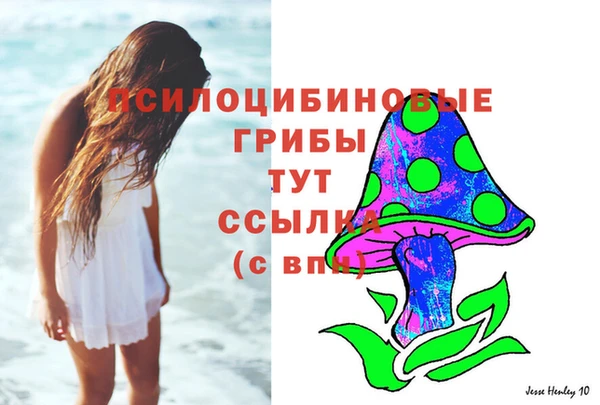 мдпв Бородино