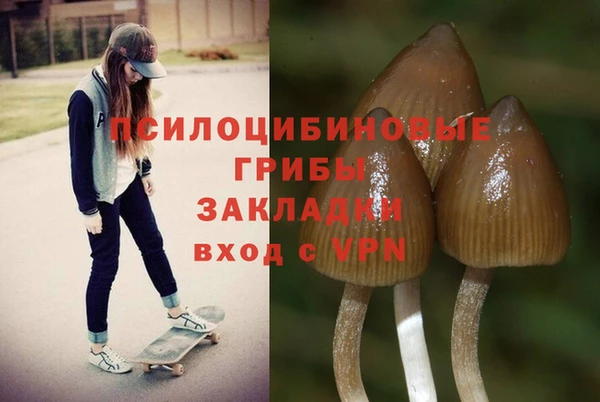 кокаин перу Богородицк